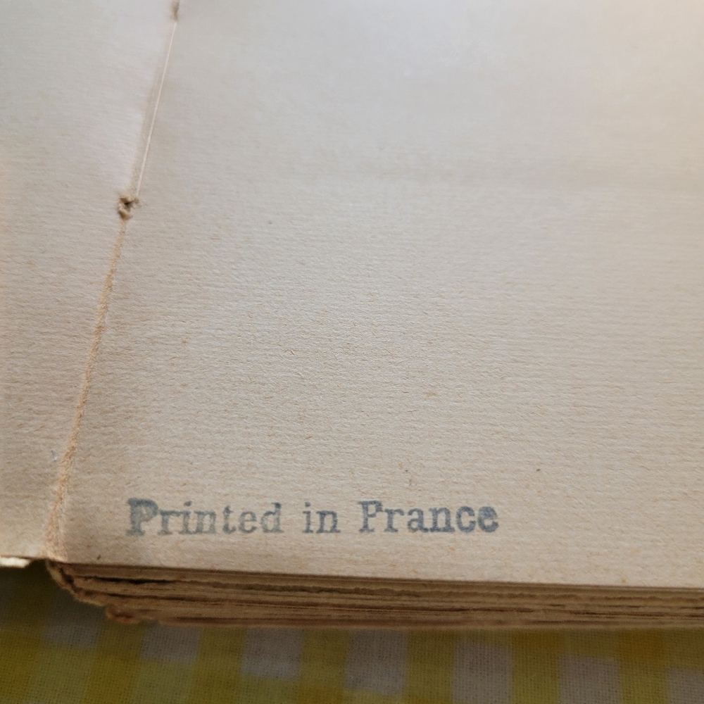 Rare Art Book L'Art Cubiste 1929 hand made slipcover. - Picture 4 of 11